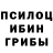 Галлюциногенные грибы Psilocybine cubensis Alex Stoyan