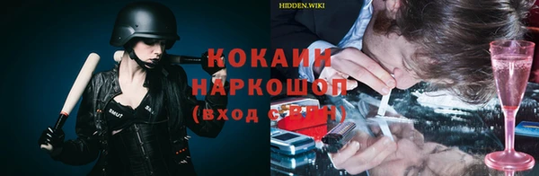 стафф Зерноград