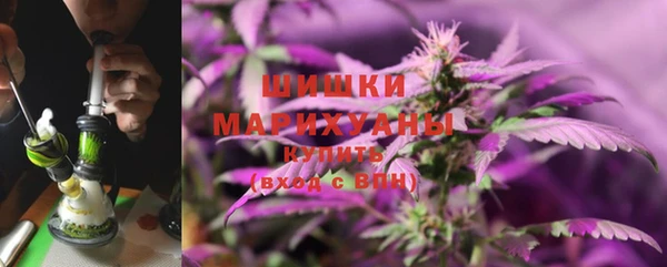 гашик Зеленокумск