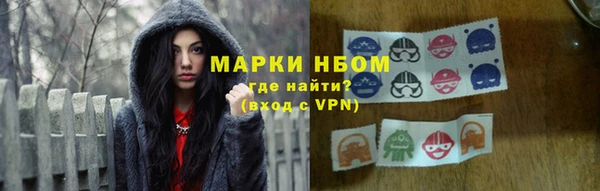 гашик Зеленокумск