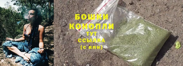 гашик Зеленокумск