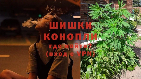 стафф Зерноград